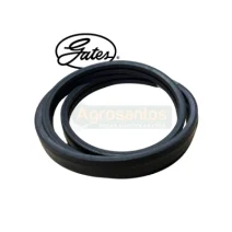 Correia Gates Colheitadeira Massey e Ideal 418192 / 102125 / 162522X / 19951530