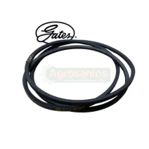 Correia Gates da Peneira Massey 1483277 / 101249 / 332517