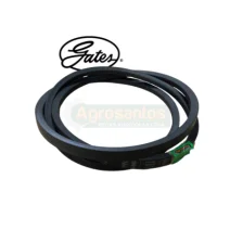 Correia Gates Alimentador do Cilindro 1483884 / 102231 / 306522