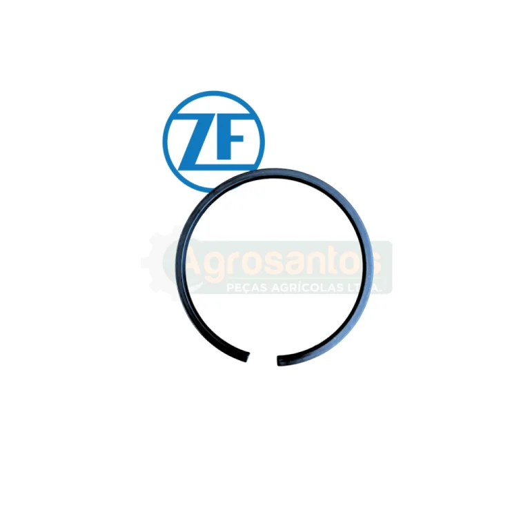 Anel Trava do Rolamento ZF 0501308626 / 3176342 / 80298100 / 9579381 / L41159